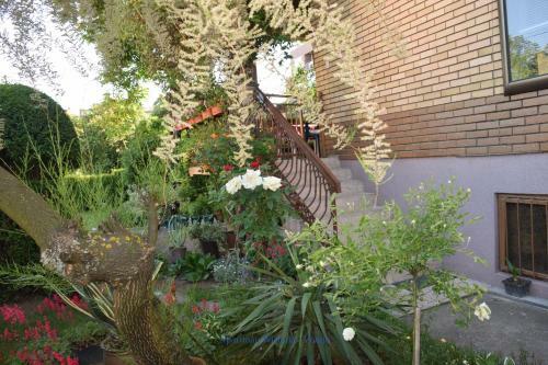 Apartman Wisteria
