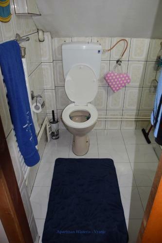Apartman Wisteria