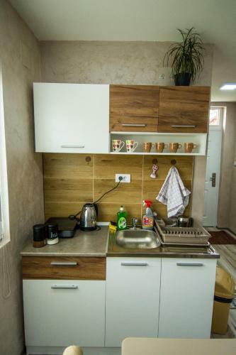 Apartman Trijumf