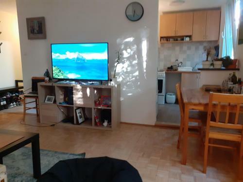 Apartment New Belgrade