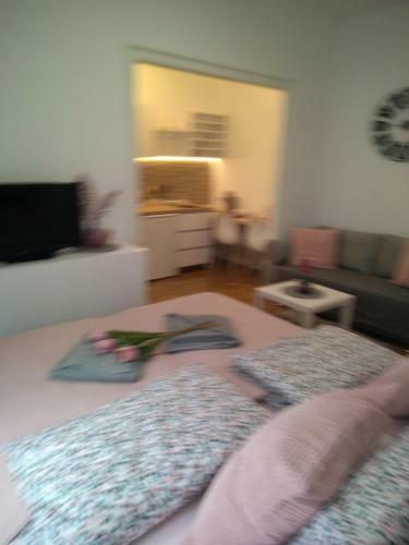 Apartamento Zebra