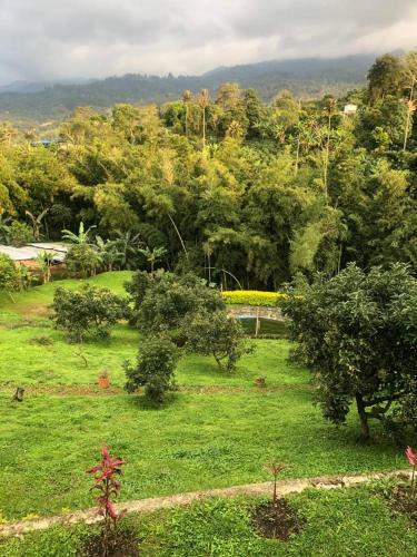Agroturismo Finca Montealto