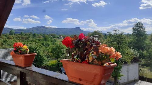 Hostal Casa Bozai