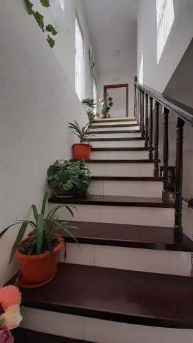 Hostal Casa Bozai