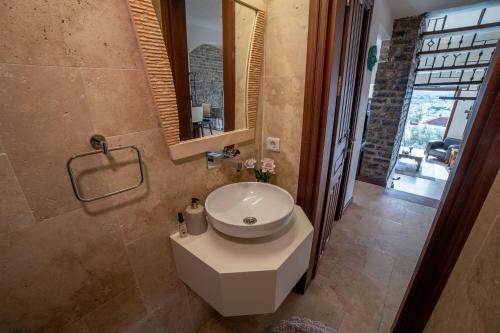 Dolphin Villa