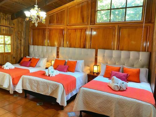 Luxury Villa / Free Parking / Garden
