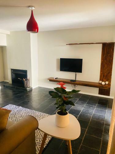Lancy Apartments