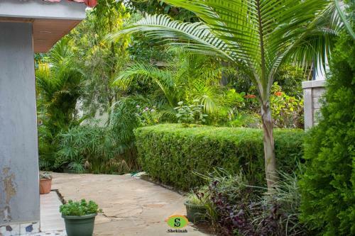 Hotel Shekinah Gardens