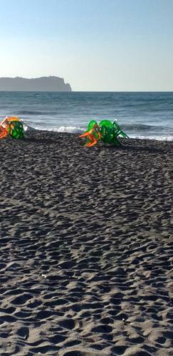 Bed & Breakfast Maison D?h�te Les Tortues -