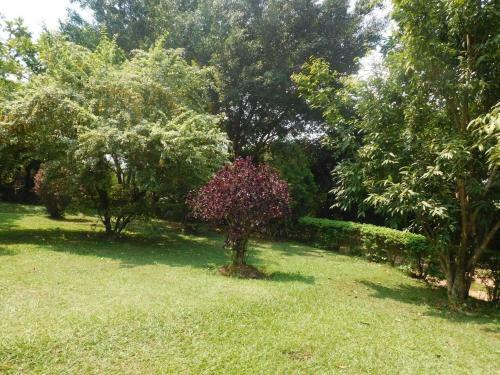 Immaculate 2-bed Cottage In Kampala