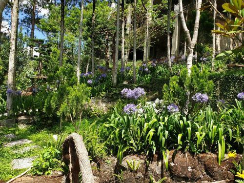 Hotel Villa Amazing Da Lat - Dieu Thong