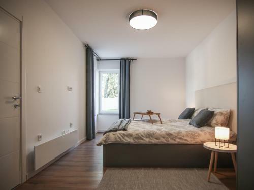 Apartman Demar Kastav