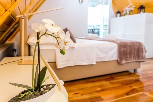 Apartamento Holiday House Antique