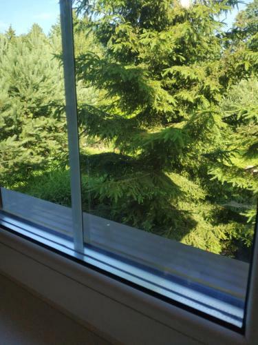 Apartament In Villa Between Palanga An Klaip?da