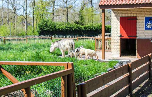 Awesome Home In Ewijk With Sauna, Wifi And 2 Bedrooms
