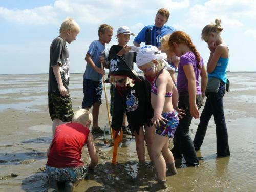 Comfortable Chalet Close To The Wadden Sea