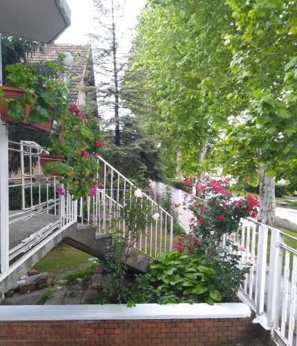 Sandrea I Apartment