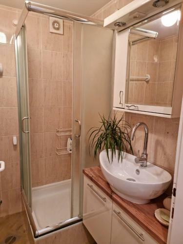 Apartamento Monte Home Center