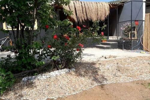 Apartamento Tam M�stakil Bah�eli �cretsiz Otopark? Olan Ev