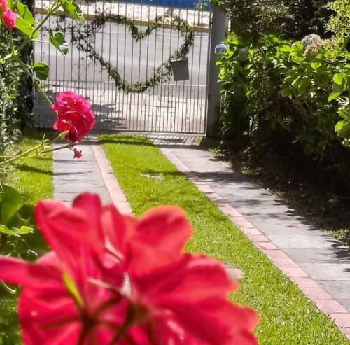 Bed & Breakfast Jardim Coberto