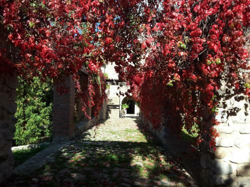 Agroturismo Giardino Donna Lavia