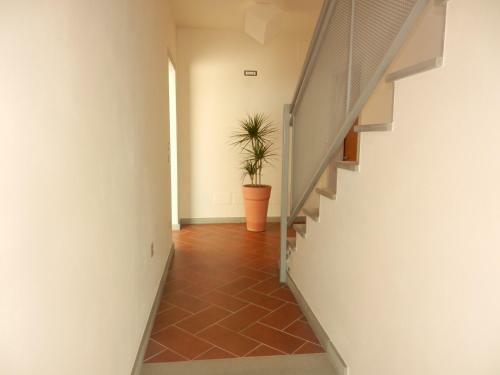 B&B Ad Hoc