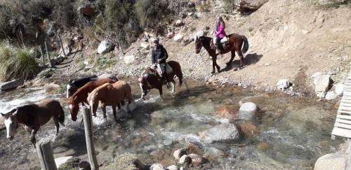 Agroturismo Base Manzano