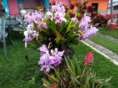 Hostal Villa Tati