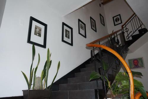 Casa Estudio Coliving