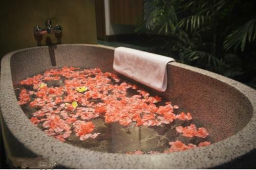 Gopala Luxury Villas