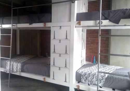 Shelter Hostel Malang