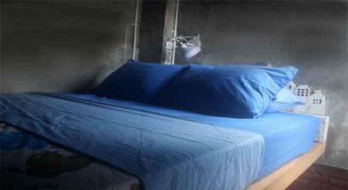 Shelter Hostel Malang