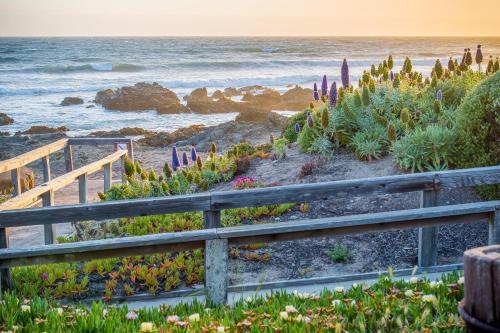 All Decked Out In Cambria