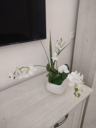 Diamond Apart Complex Deluxe One Bedroom Apartment
