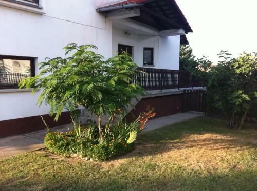 Hostal Arat� Vend�gh�z