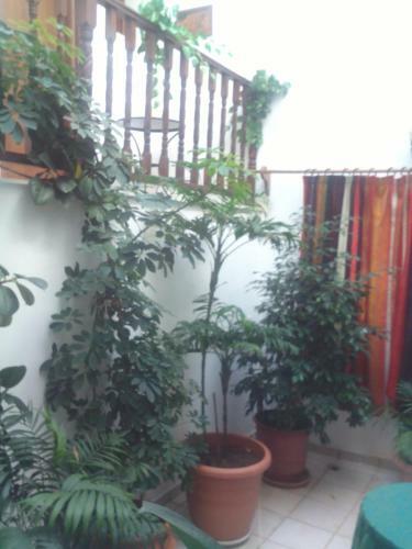 Hostal Hotel Kassandra