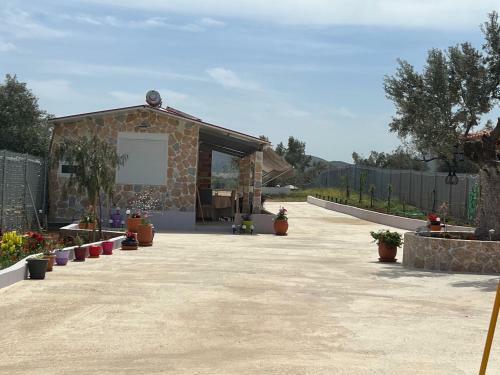 Apartamento Ecological Studio Flat In Kalyvia Thorikou Greece