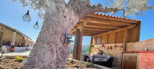 Apartamento Eco Studio Flat Kalyvia Thorikou Greece