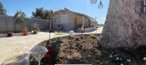 Apartamento Eco Studio Flat Kalyvia Thorikou Greece