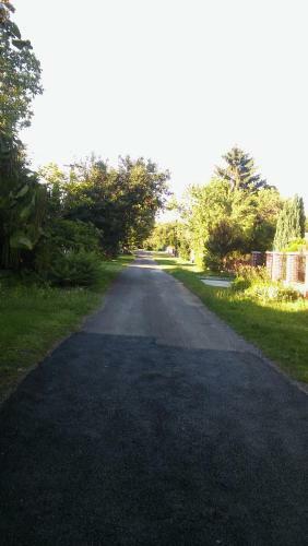 Balaton