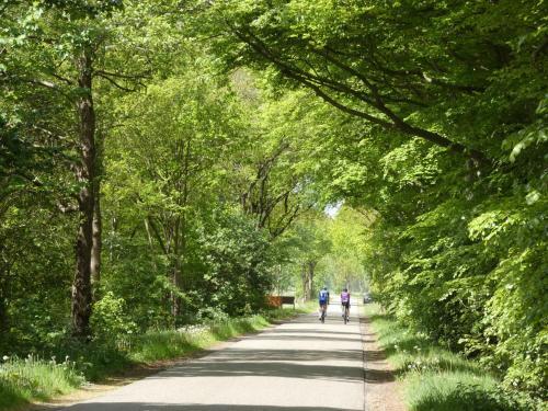 Chalet Nr 28 Op Bospark Trimunt