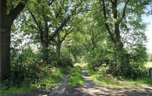 Stille Wille 102