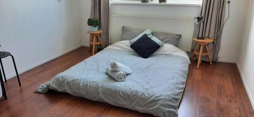 Vierdaagse Kamers