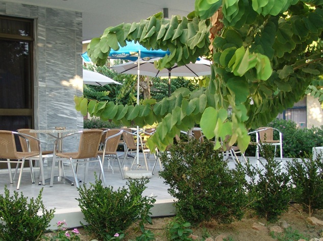 Hotel Paritsa (.)