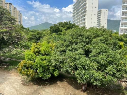 Santa Marta / Apartamento / Sector Bello Horizonte