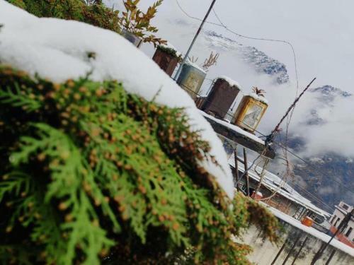 Hostal Odyssey Stays Joshimath