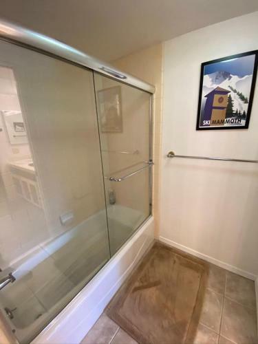 #291 - Ski-in Ski-out Mountain Condo, Spa & Private Balcony