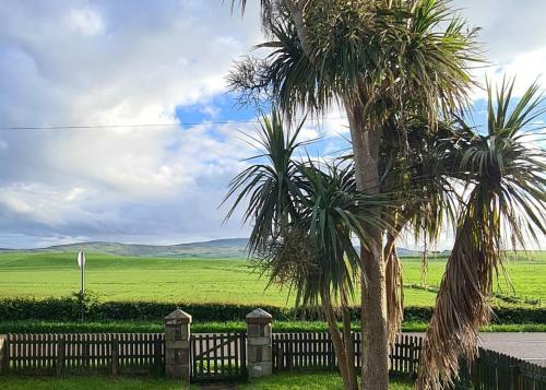Spacious Rural Cottage Outside Campbeltown