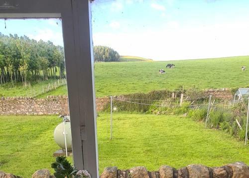 Spacious Rural Cottage Outside Campbeltown