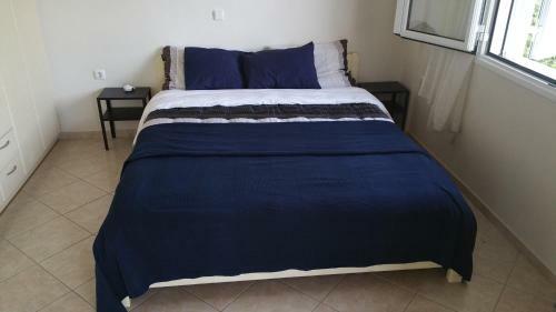 Apartamento Tulip House